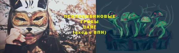 прущие крисы Алексин