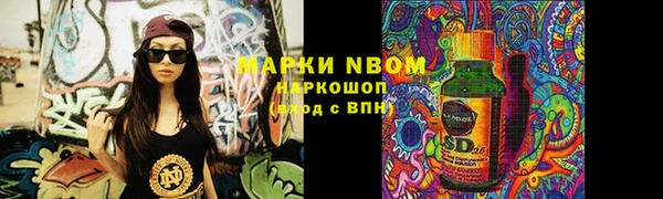 прущий лед Алзамай