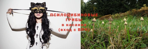 прущие крисы Алексин
