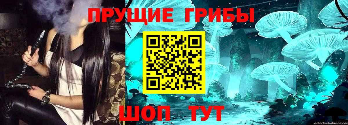 Псилоцибиновые грибы прущие грибы  Вход с VPN  Новый Уренгой 
