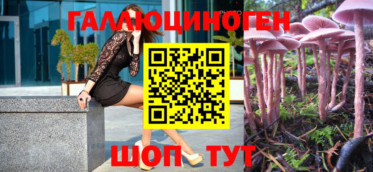 Псилоцибиновые грибы мухоморы Новый Уренгой